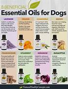 What Essential Oils Are Pet Safe?