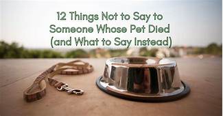 What to Say to Someone When Their Pet Dies