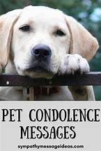 Losing a Pet: Words of Comfort and Support