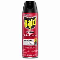 Is Raid Ant and Roach Spray Safe for Pets?