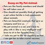 Why Cats Are the Best Pets Essay