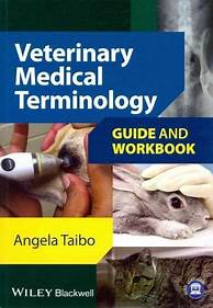 What is PET in Medical Terms?