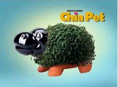 When Was the Chia Pet Invented?