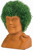 Where Can I Get a Chia Pet?