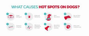 What Causes Hot Spots on Pet Scans?