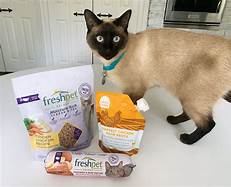 Where to Buy Fresh Pet Cat Food