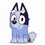 Is Socks a Pet in Bluey?