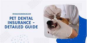 What Pet Insurance Covers Dental