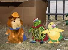 What Year Did Wonder Pets Come Out?