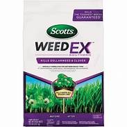 Is Scotts Weedex Safe for Pets?