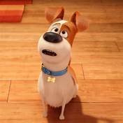 Is Secret Life of Pets on HBO Max?