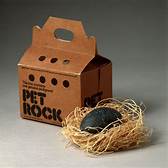 When Did Pet Rocks Come Out?