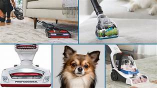 What is the Best Rated Vacuum Cleaner for Pet Hair?