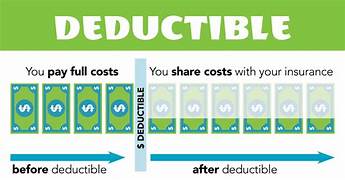 What Does Annual Deductible Mean for Pet Insurance?