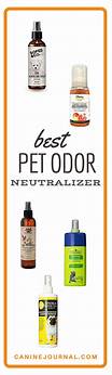 Best Pet Odor Remover: Say Goodbye to Smelly Surprises