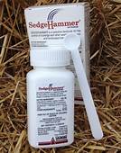 Is Sedgehammer Safe For Pets?