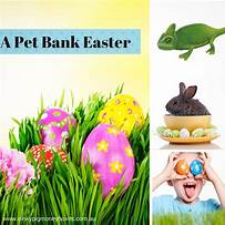 What Were the Pet Banks?