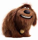 What Dog is Duke from Secret Life of Pets