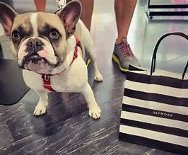 Is Sephora Pet Friendly? A Comprehensive Guide for Pet Lovers