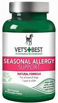 What Allergy Medicine is Best for Pet Allergies?