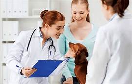 What Pet Insurance Pays Vet Directly?