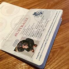 Where Can I Get a Pet Passport?