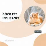 What Does Geico Pet Insurance Cover?