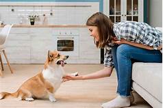 What to Do with Pets During House Showings