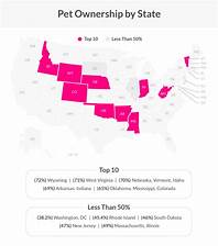 What Percentage of Americans Have Pets?