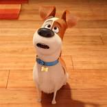 Who Voiced Max in Secret Life of Pets?