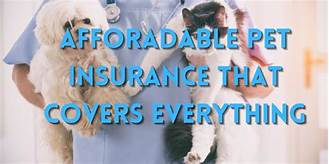 What Pet Insurance Covers Everything?