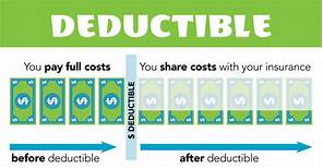 What is Annual Deductible Pet Insurance?