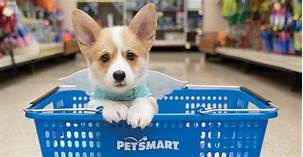 What Pets Do PetSmart Sell?