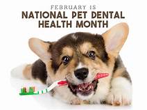 When is Pet Dental Month?