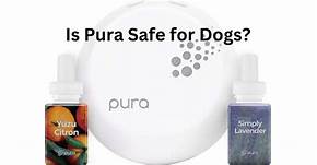 Is Pura Safe for Pets?