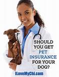 Should I Get Pet Insurance for My Puppy?