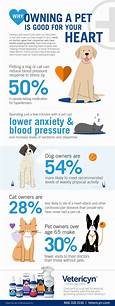 Why Pets Are Good for Your Health