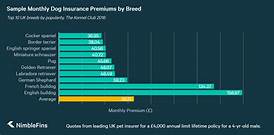 What is the Average Cost of Pet Insurance?