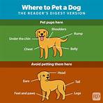Why Do Dogs Like Being Pet?