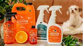 Where to Buy Angry Orange Pet Odor Eliminator