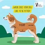 Why Do Dogs Love to Be Pet?