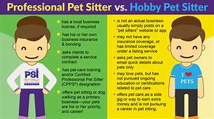 Should You Tip a Pet Sitter?