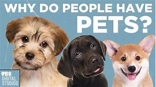 Why Do Humans Keep Pets?