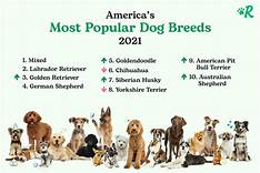 What is the Most Popular Pet in the US?