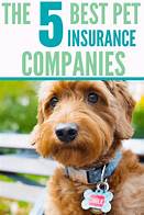 Which is Best Pet Insurance?