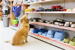 What Is a Pet Store?