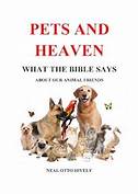 What the Bible Says About Pets in Heaven