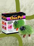 Where to Find Chia Pets