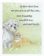 What to Write in a Sympathy Card for Pet