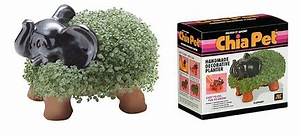 What is a Chia Pet Made Of?